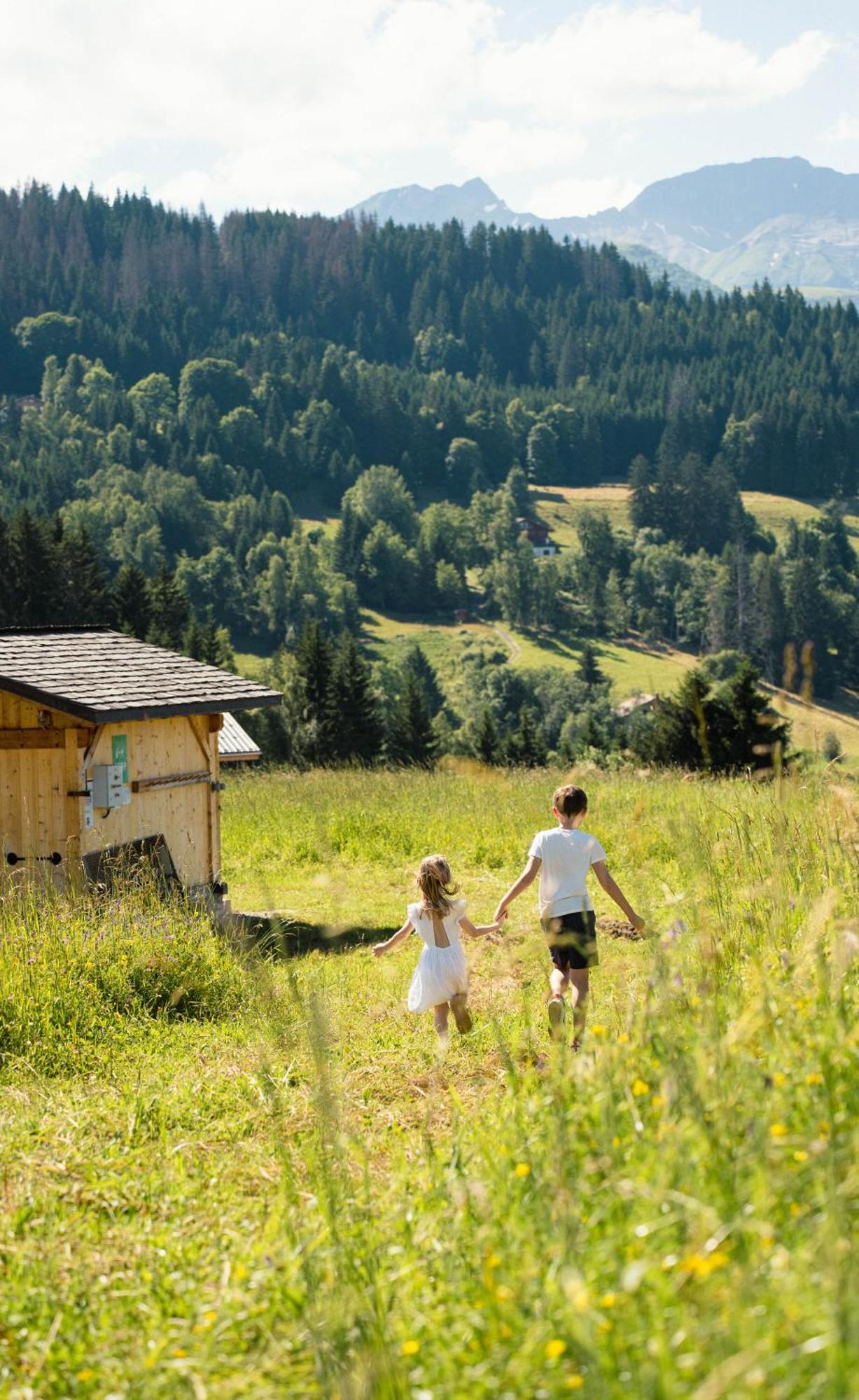 Chalet Alpen Valley, Mont-Blanc كومْبلو المظهر الخارجي الصورة